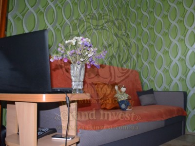 1-комнатная квартира на Шуменском