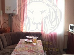 2-х комнатная квартира c автономным отоплением в Центре