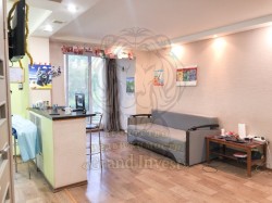 Квартира с мебелью, Центр